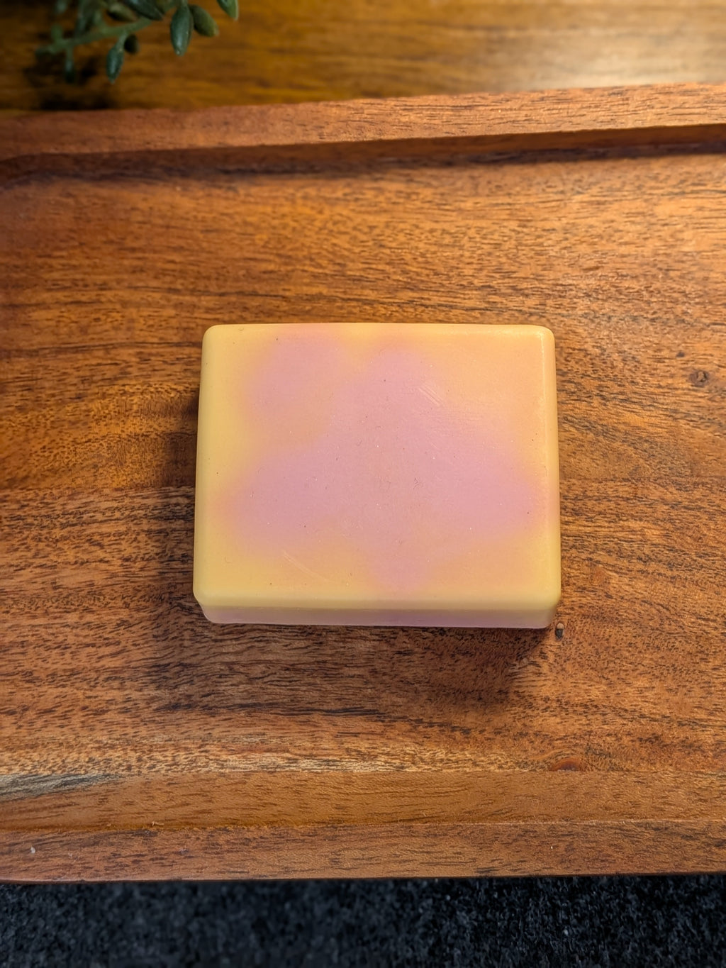 Magnolia Starburst